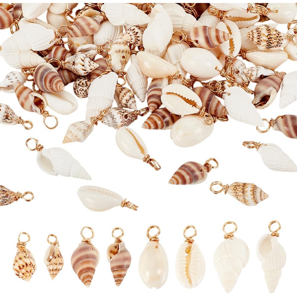 Body Jewelry Beach - 100 adet 4 Stilleri Doğal Kabuk
