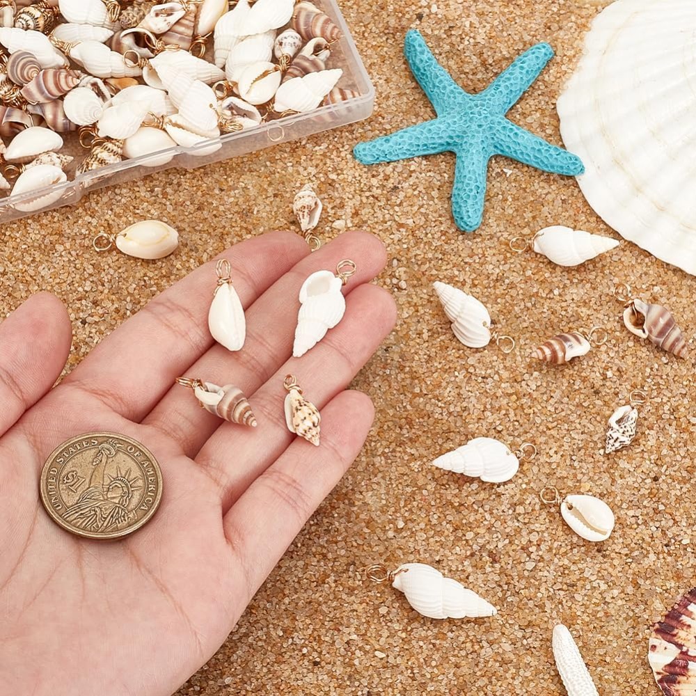 100 adet 4 Stilleri Doğal Kabu - Body Jewelry Beach incelemesi ve fiyatı